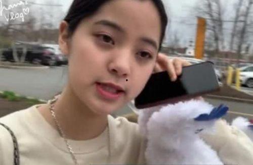 欧阳娜娜妹妹爆料视频大全,揭秘明星家庭幕后故事  第1张