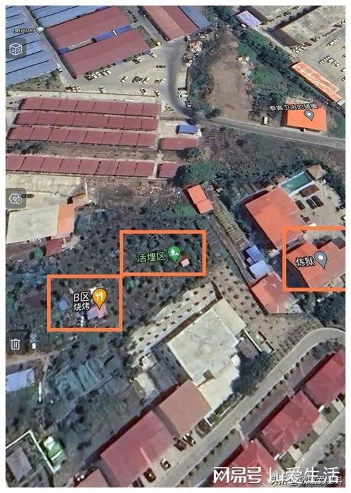 缅甸爆料kk园区视频,视频曝光背后的真相与争议  第3张